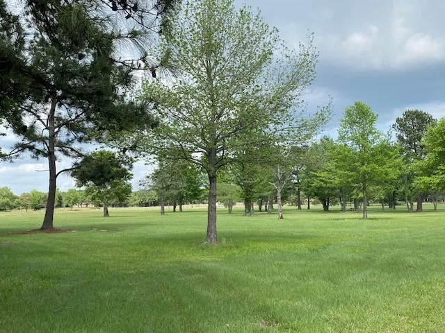 7601 CR 3700 Murchison, TX 75778