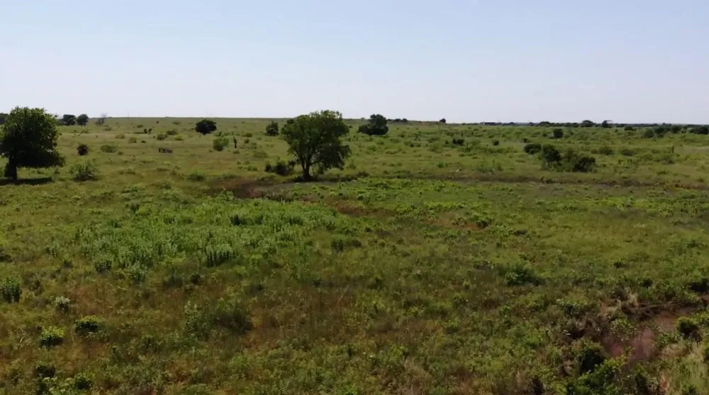 High Plains Trail Bellevue, TX 76228
