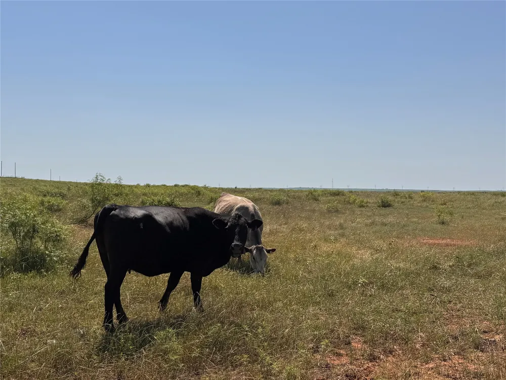 High Plains Trail Bellevue, TX 76228