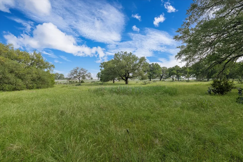 254 Guadalupe Drive Oglesby, TX 76561