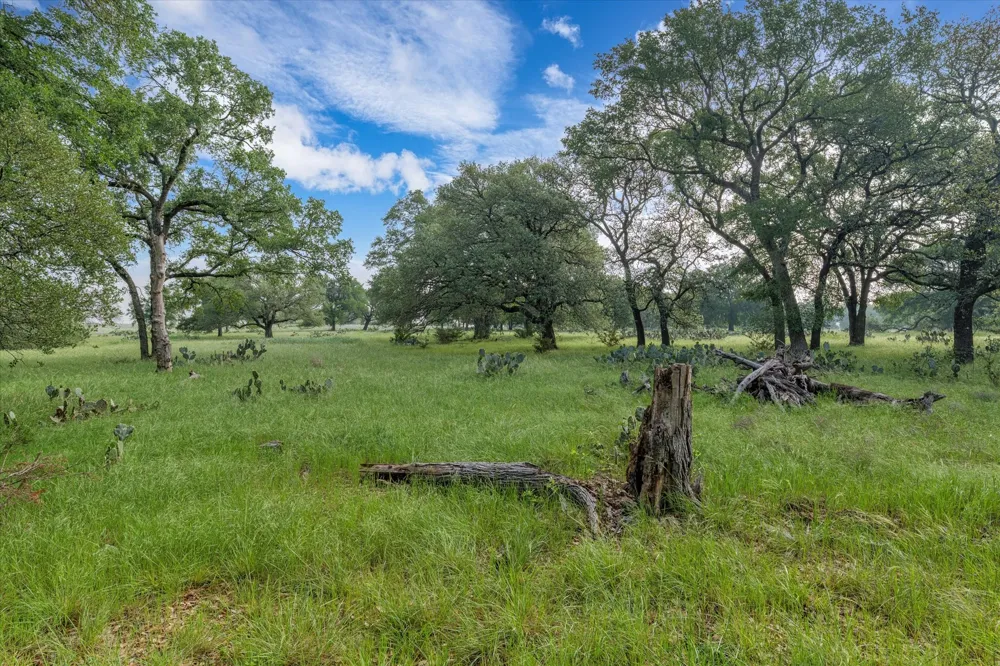 254 Guadalupe Drive Oglesby, TX 76561