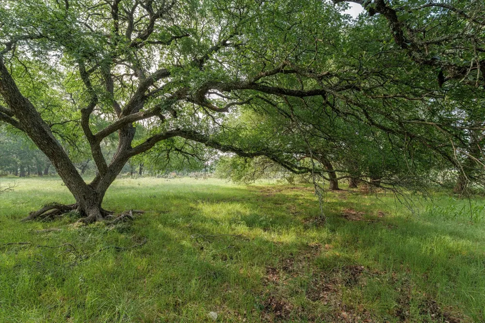 254 Guadalupe Drive Oglesby, TX 76561
