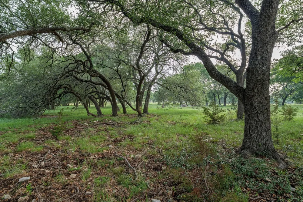 254 Guadalupe Drive Oglesby, TX 76561