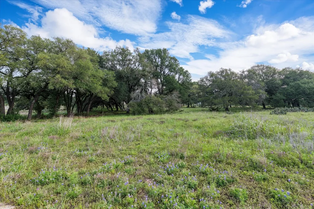 254 Guadalupe Drive Oglesby, TX 76561