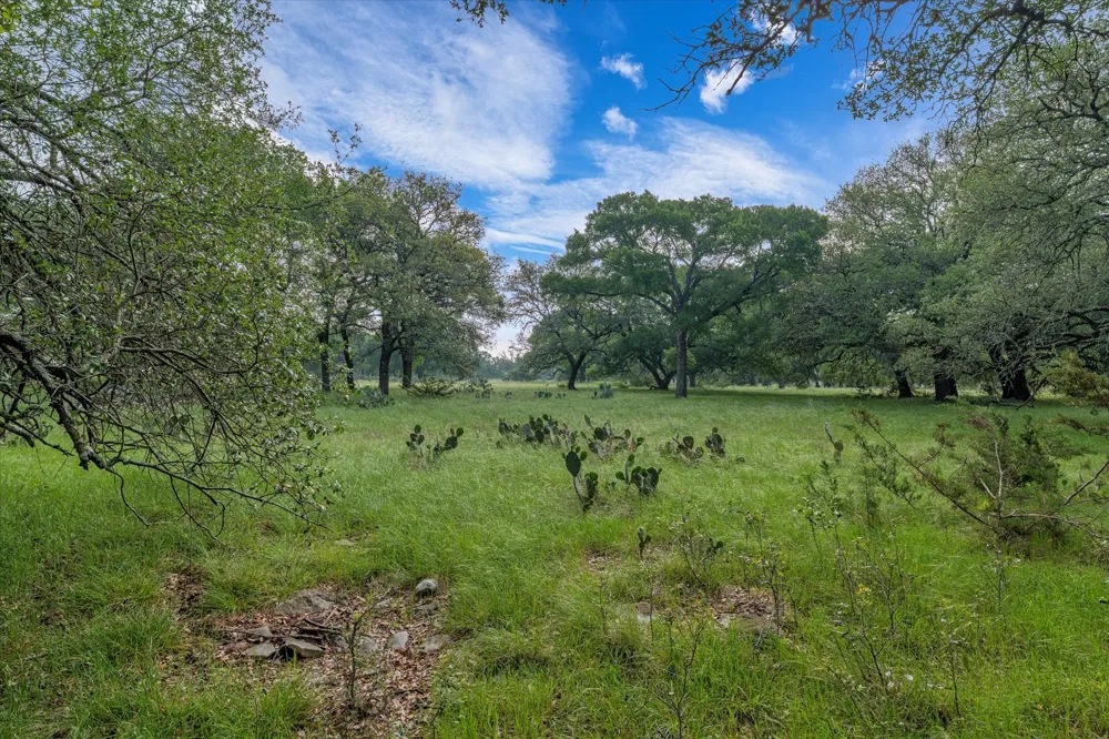 254 Guadalupe Drive Oglesby, TX 76561