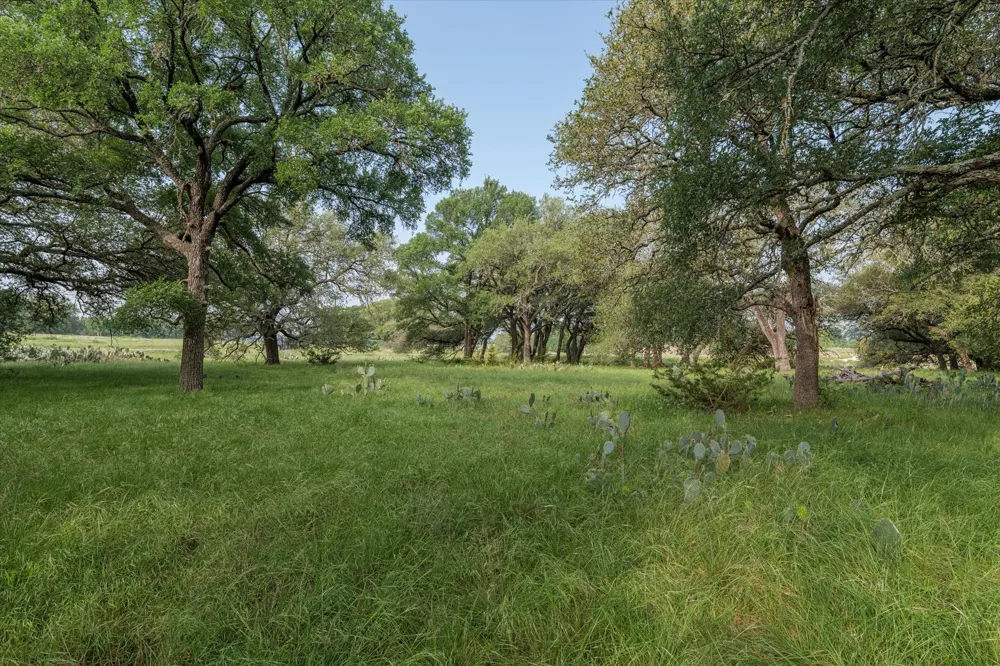 254 Guadalupe Drive Oglesby, TX 76561