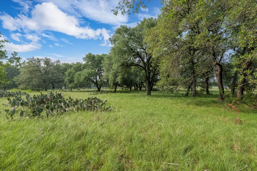 254 Guadalupe Drive Oglesby, TX 76561