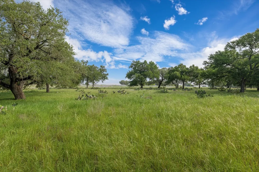 254 Guadalupe Drive Oglesby, TX 76561