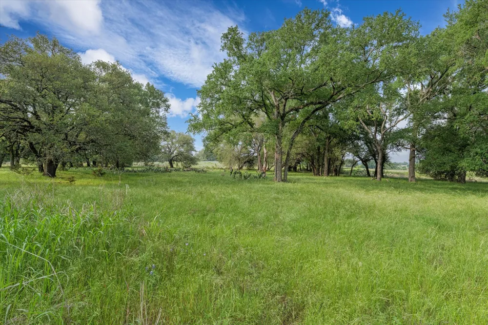 254 Guadalupe Drive Oglesby, TX 76561