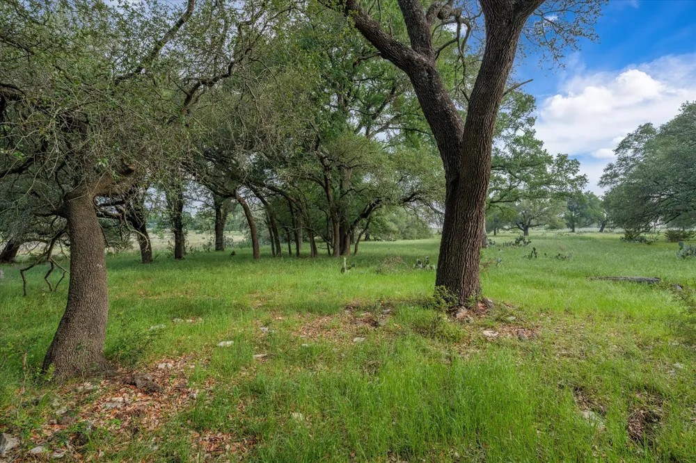 254 Guadalupe Drive Oglesby, TX 76561
