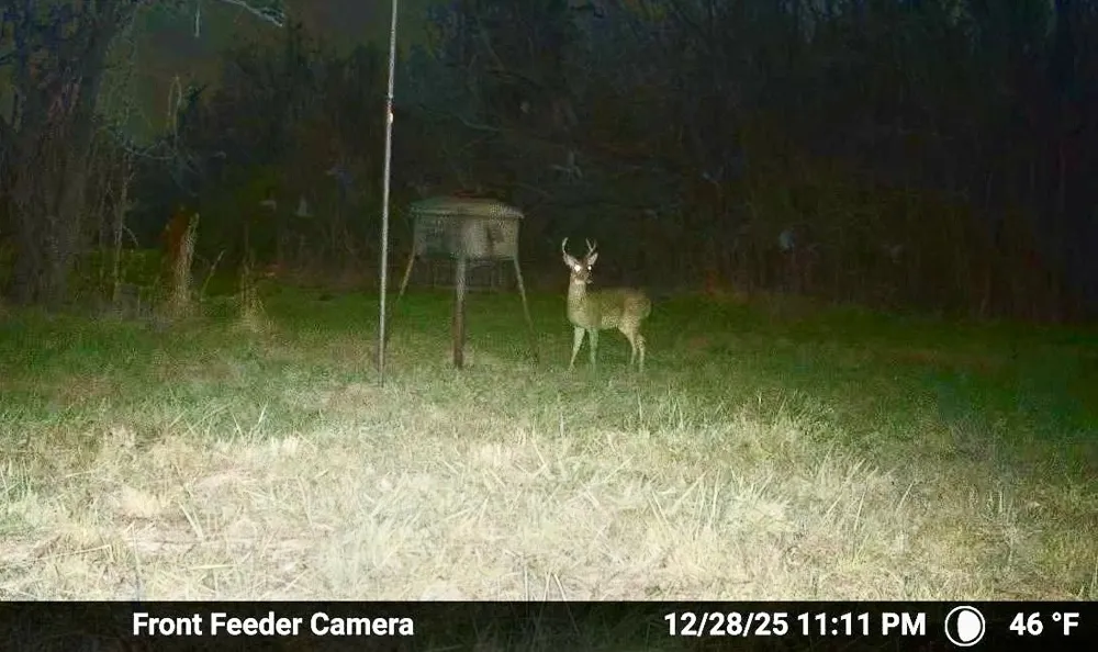 7600 County Road 1500 Athens, TX 75751