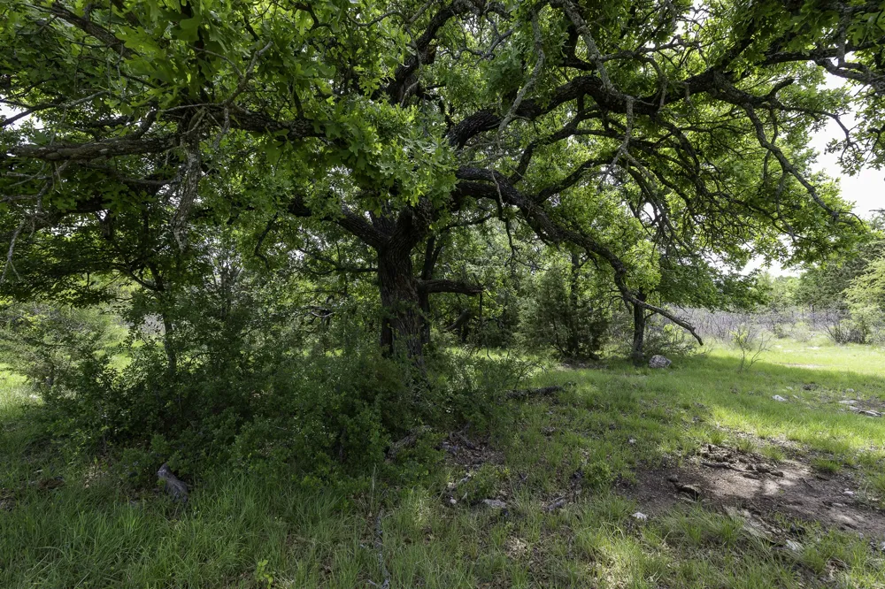 525 Jack Rabbit Circle Zephyr, TX 76890