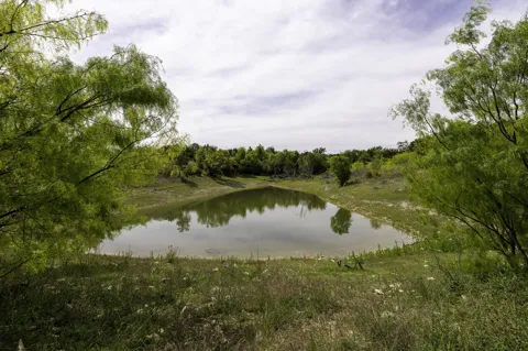 525 Jack Rabbit Circle