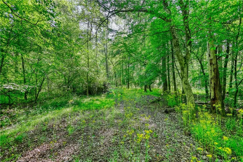393 Edwards Road Oxford, GA 30054
