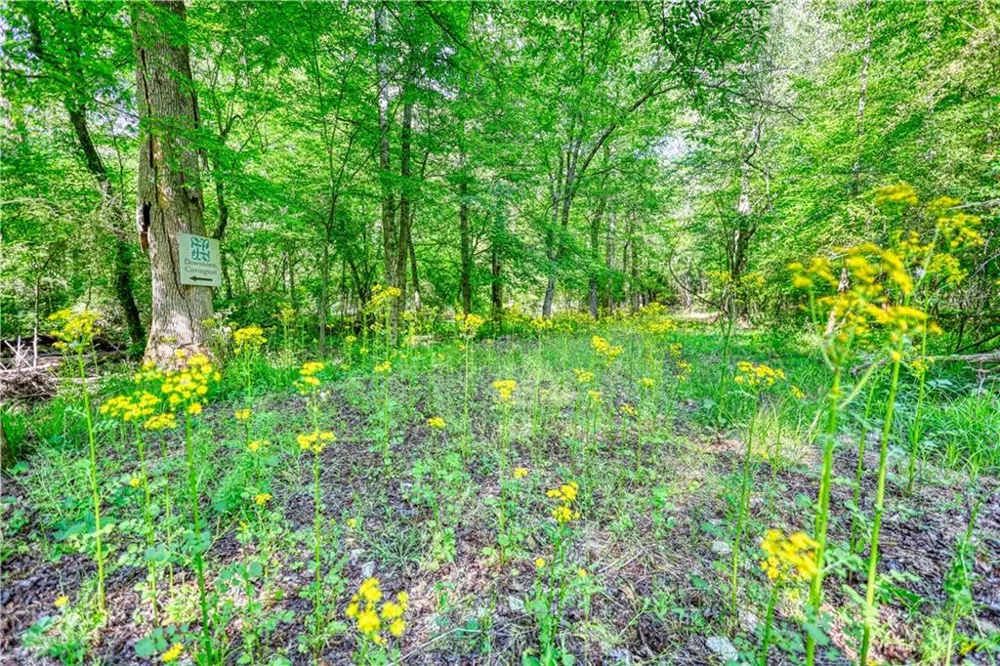 393 Edwards Road Oxford, GA 30054