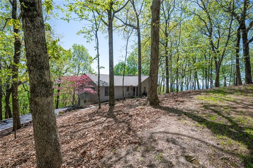 1339 Ridgeview Drive Big Canoe, GA 30143