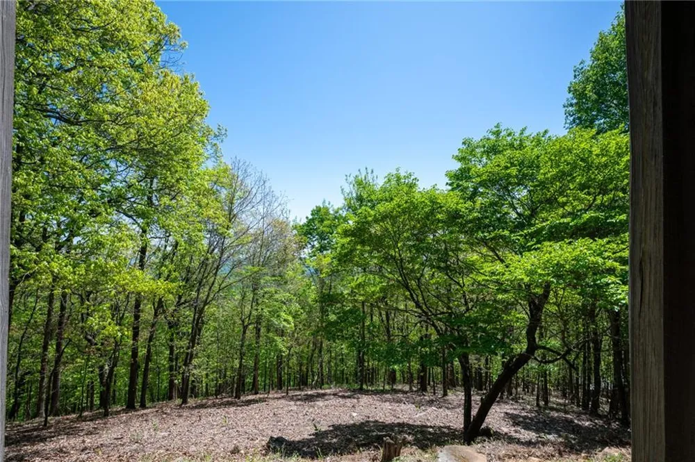 1339 Ridgeview Drive Big Canoe, GA 30143