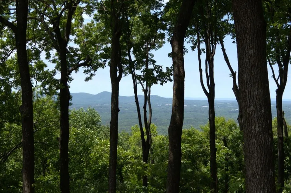 1339 Ridgeview Drive Big Canoe, GA 30143