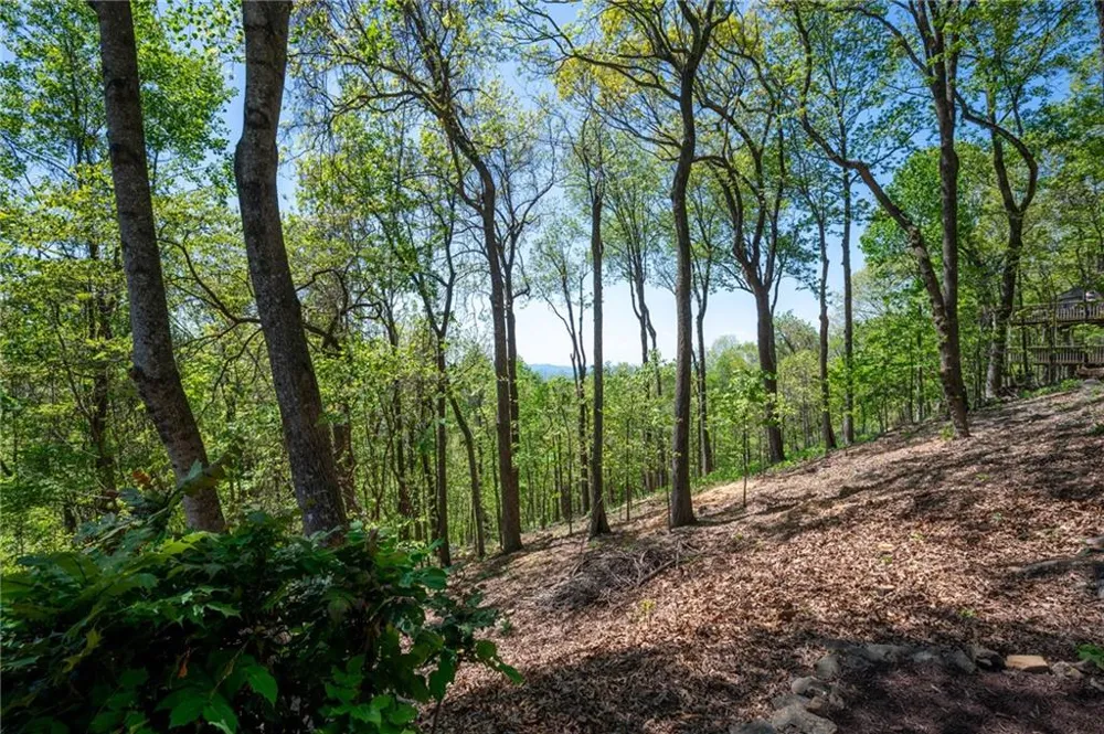 1339 Ridgeview Drive Big Canoe, GA 30143