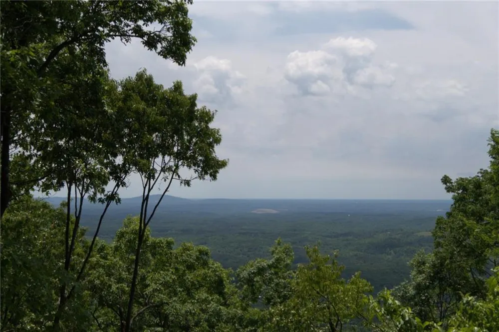 1339 Ridgeview Drive Big Canoe, GA 30143