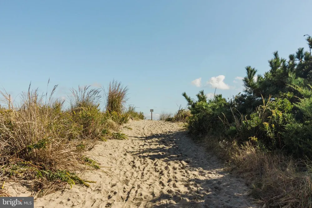 24 DICKINSON AVENUE #8B Dewey Beach, DE 19971