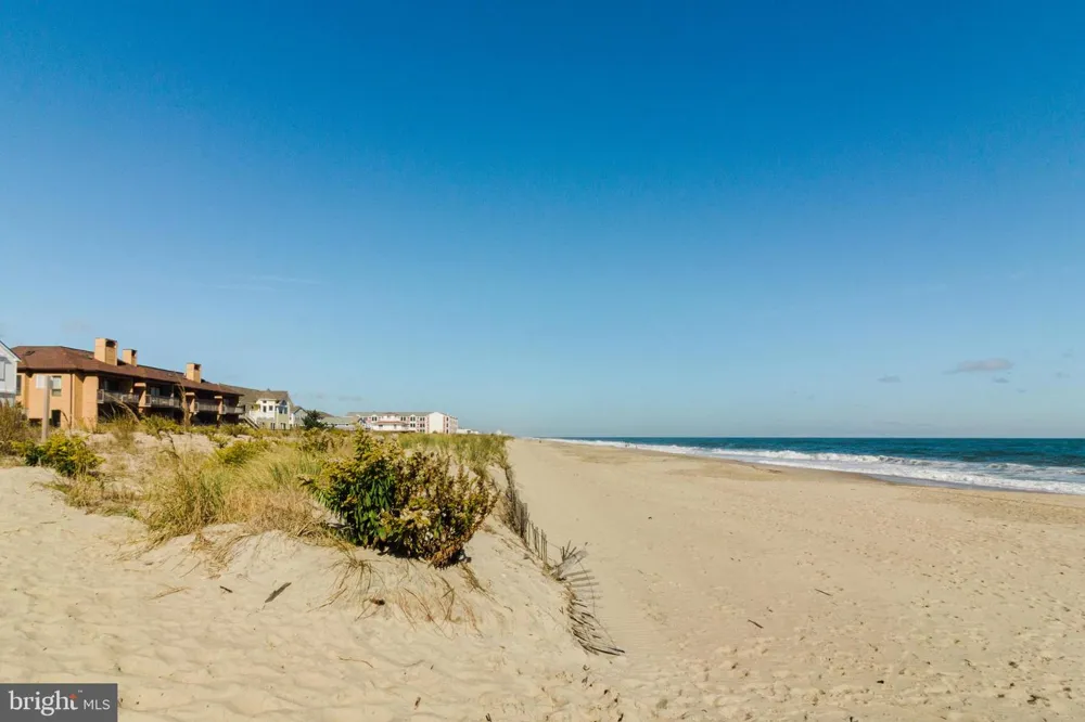 24 DICKINSON AVENUE #8B Dewey Beach, DE 19971