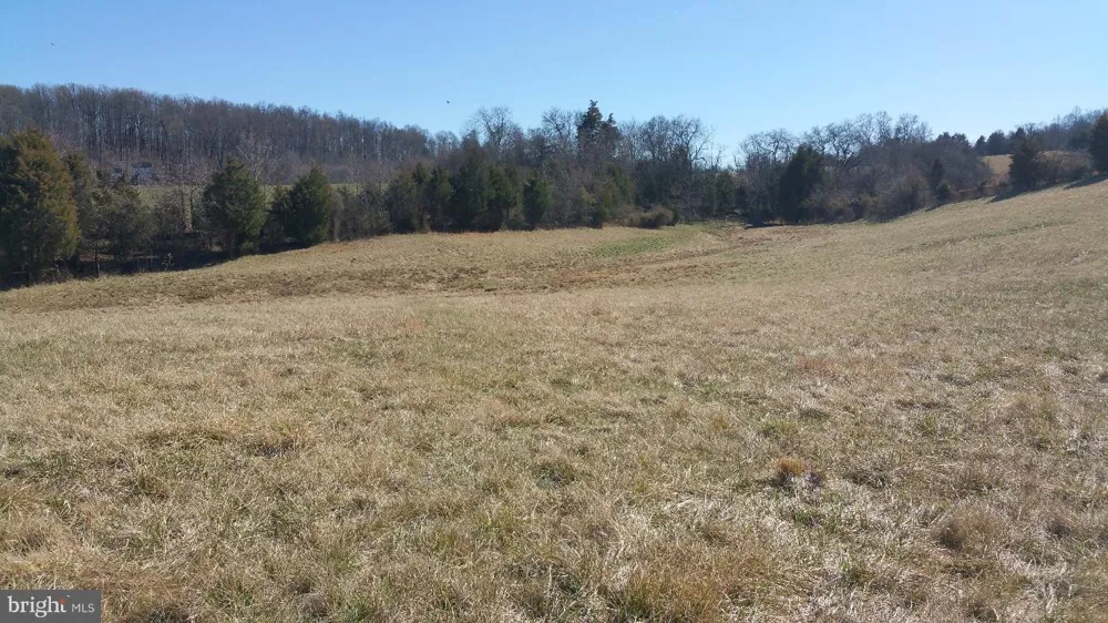 9471 LITTLE SKYLINE DRIVE Orange, VA 22960