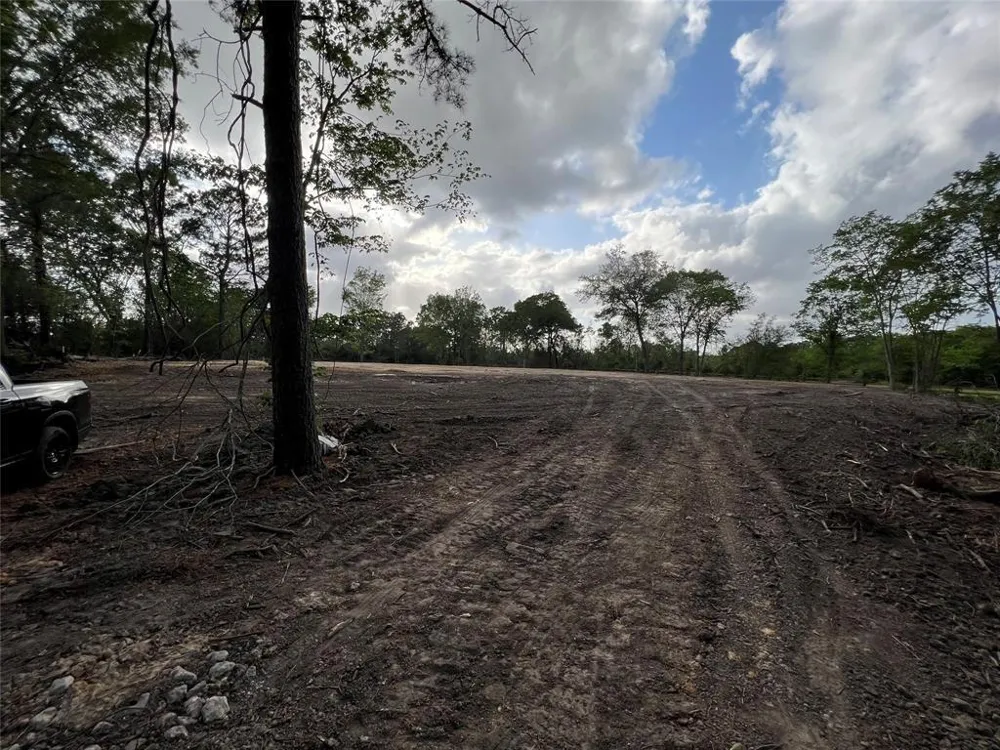 2450 Roy Road Pearland, TX 77581