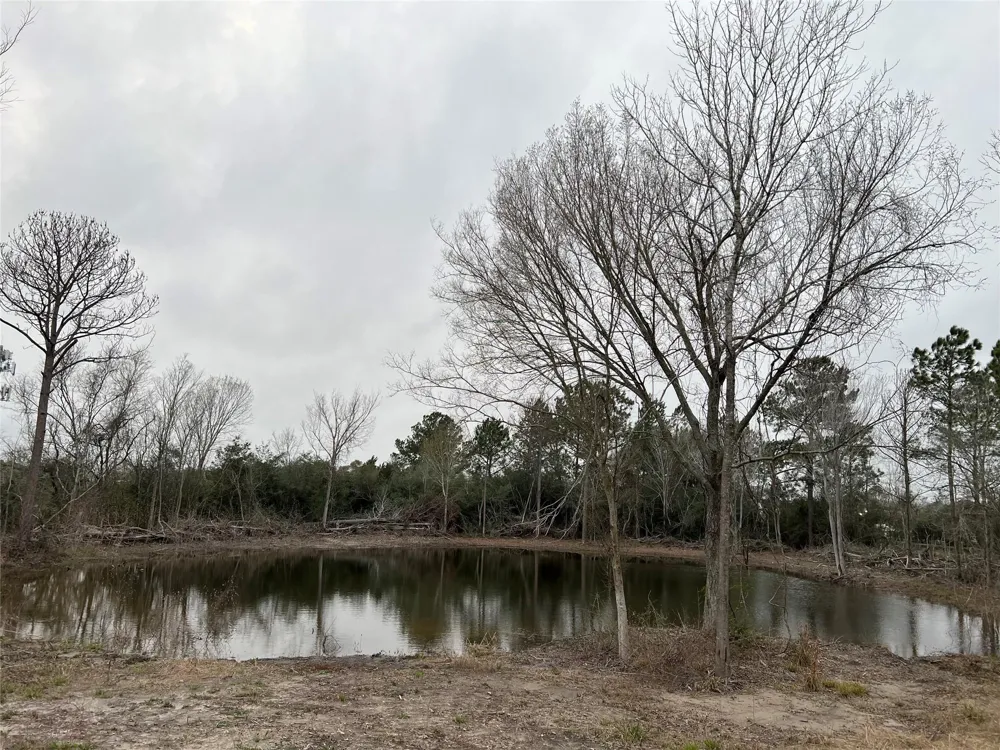 2450 Roy Road Pearland, TX 77581