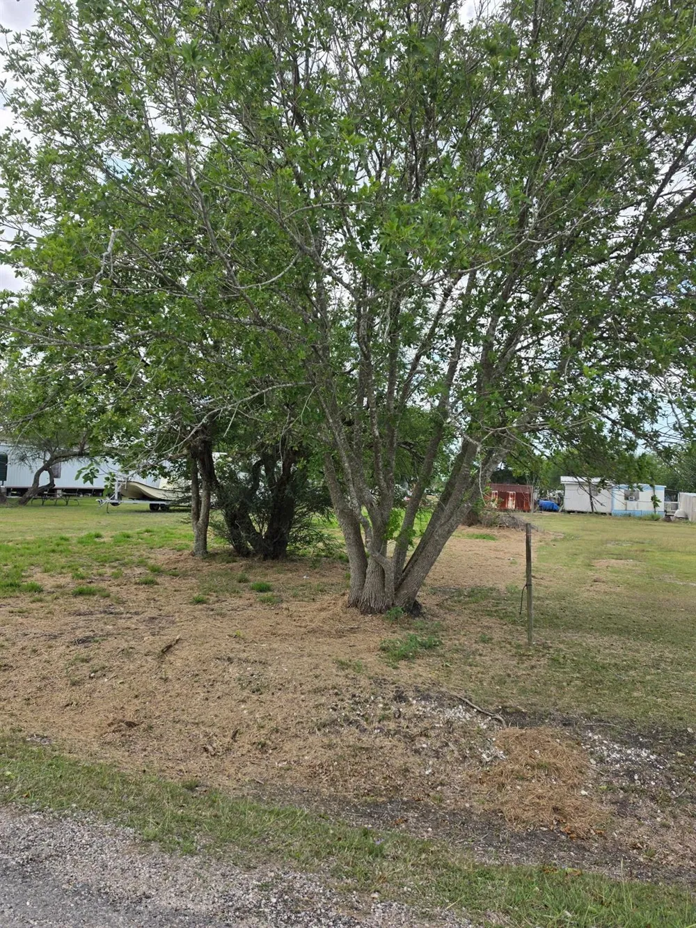 1105 W Cleveland Avenue Seadrift, TX 77983