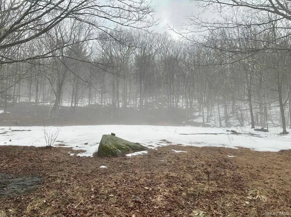 804 Hearts Content Road Cairo, NY 12413
