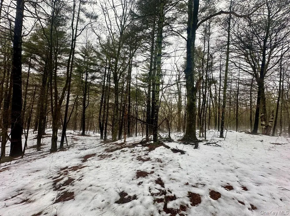 804 Hearts Content Road Cairo, NY 12413