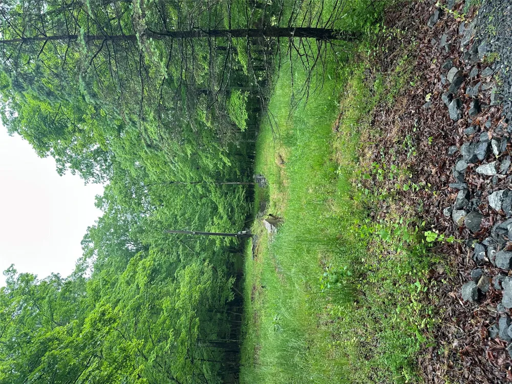 804 Hearts Content Road Cairo, NY 12413