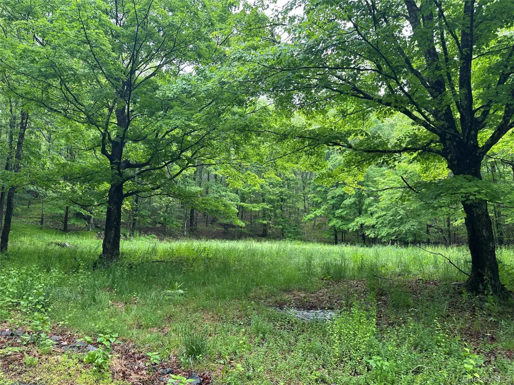 804 Hearts Content Road Cairo, NY 12413