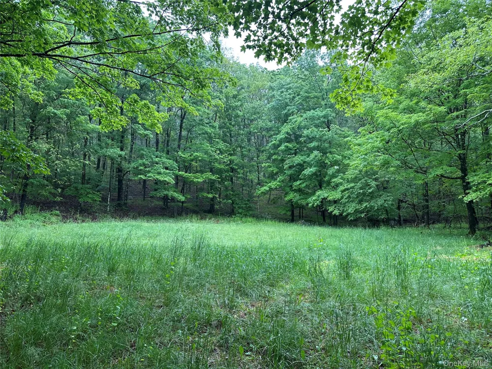 804 Hearts Content Road Cairo, NY 12413