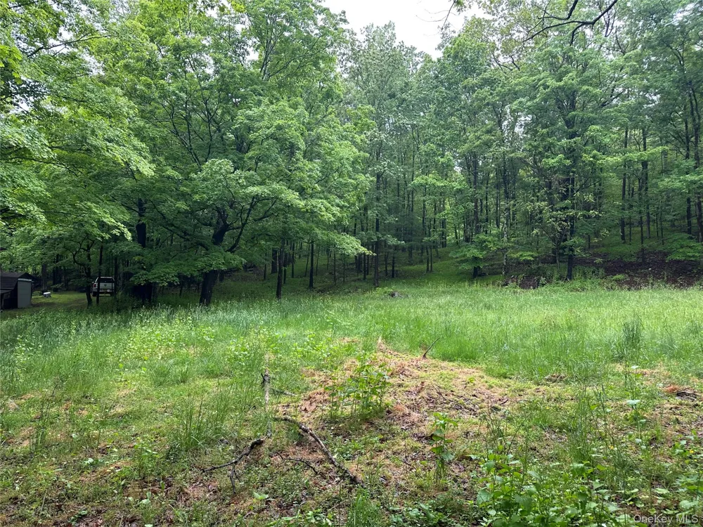 804 Hearts Content Road Cairo, NY 12413