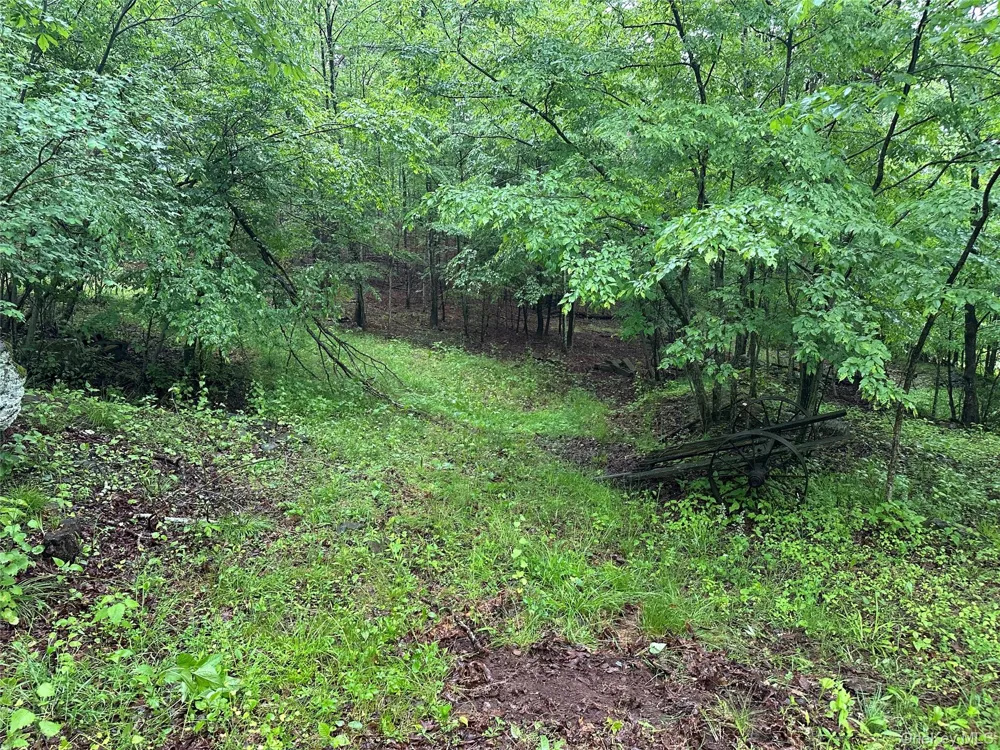 804 Hearts Content Road Cairo, NY 12413