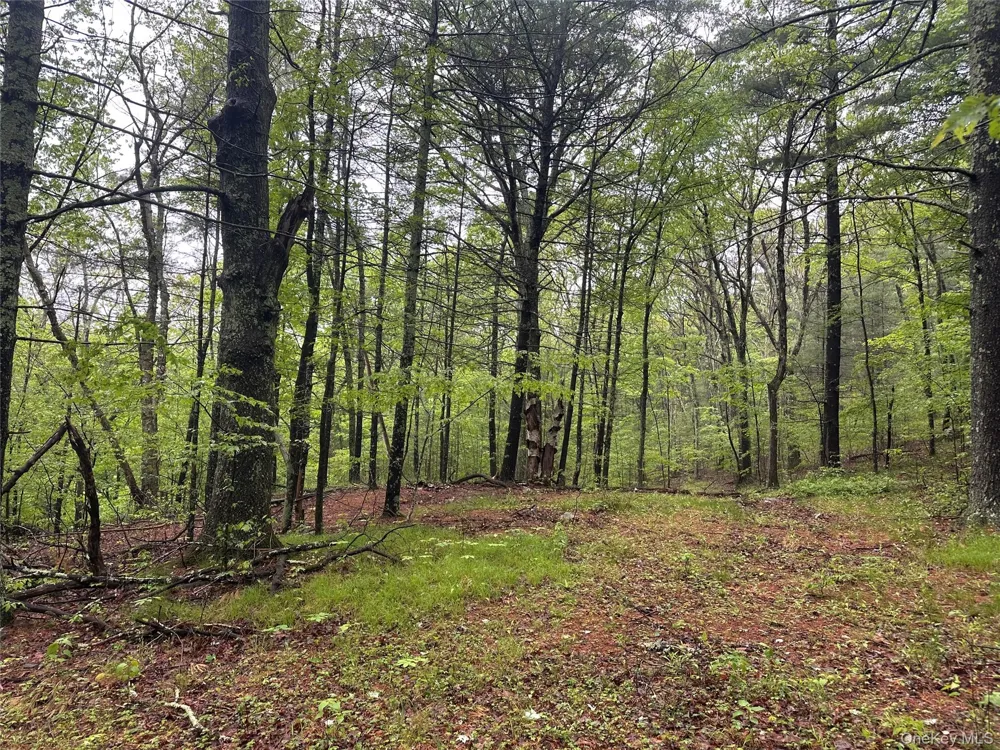 804 Hearts Content Road Cairo, NY 12413
