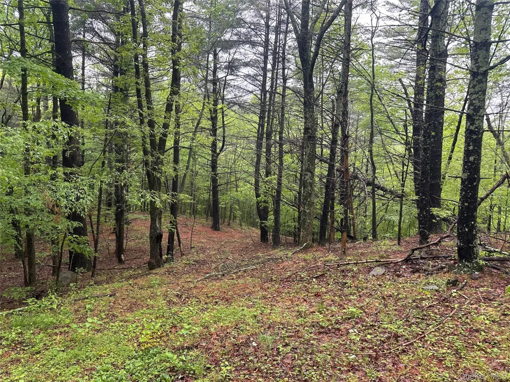 804 Hearts Content Road Cairo, NY 12413
