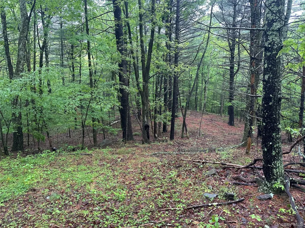 804 Hearts Content Road Cairo, NY 12413