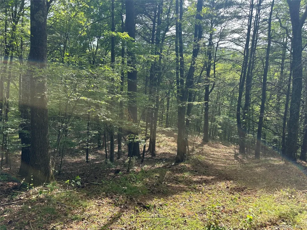 804 Hearts Content Road Cairo, NY 12413