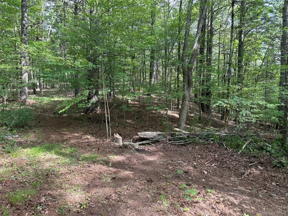 804 Hearts Content Road Cairo, NY 12413