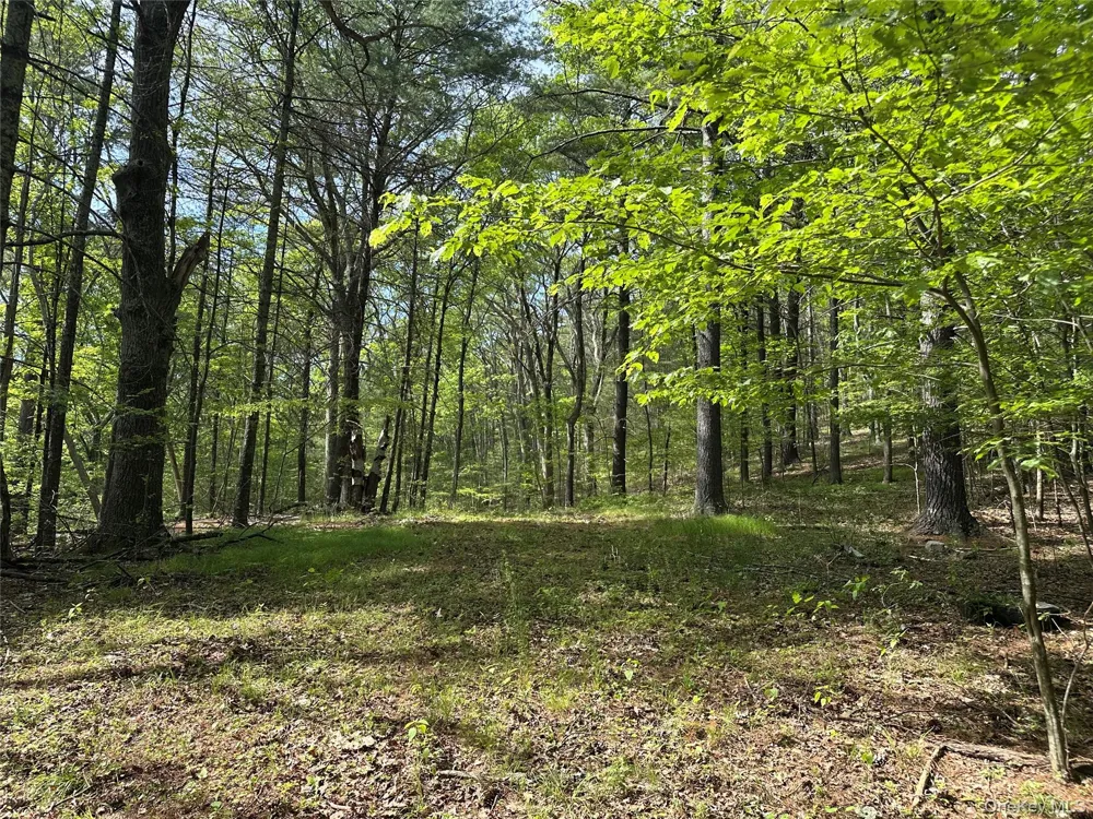 804 Hearts Content Road Cairo, NY 12413