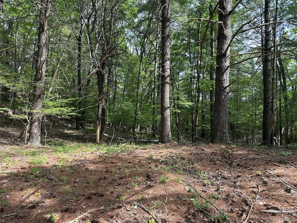 804 Hearts Content Road Cairo, NY 12413