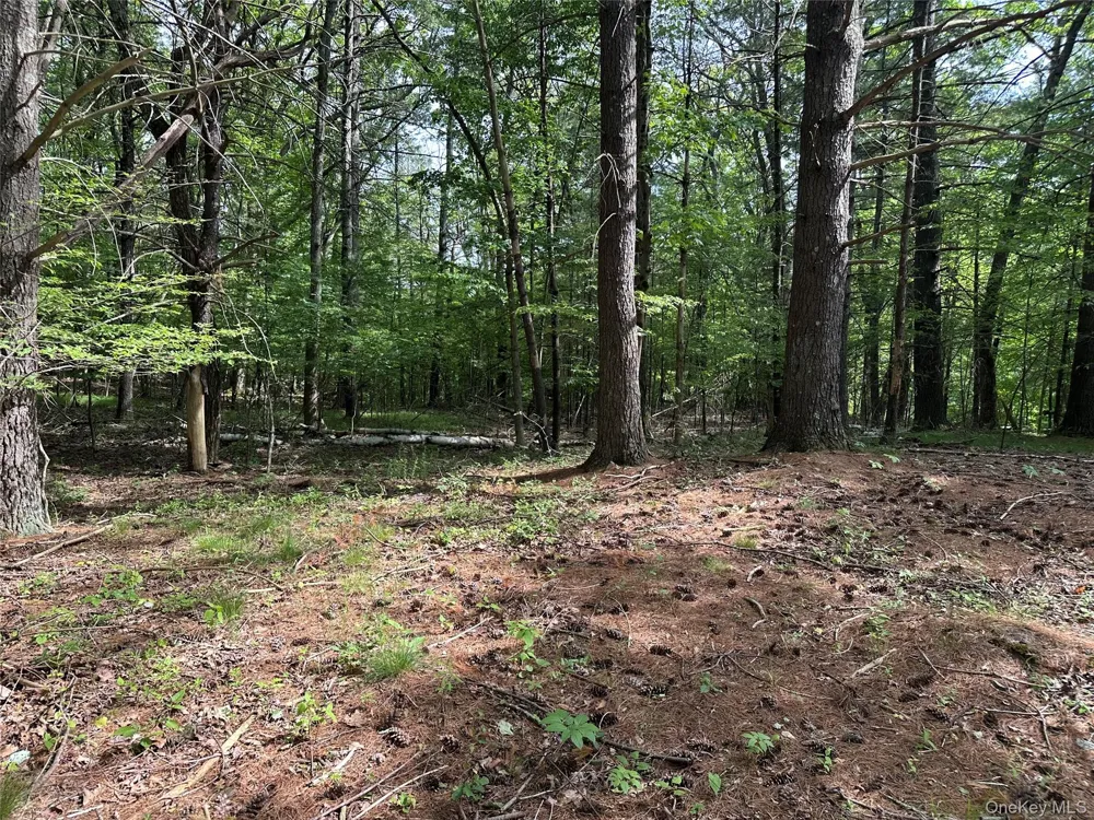 804 Hearts Content Road Cairo, NY 12413