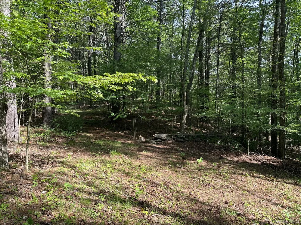 804 Hearts Content Road Cairo, NY 12413