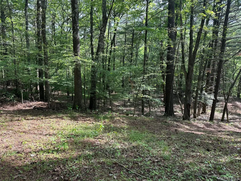 804 Hearts Content Road Cairo, NY 12413