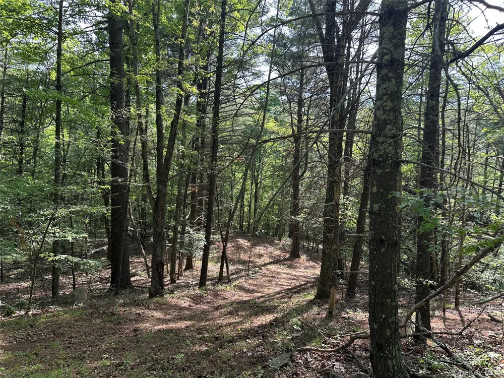 804 Hearts Content Road Cairo, NY 12413