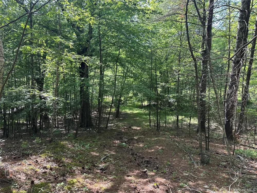 804 Hearts Content Road Cairo, NY 12413