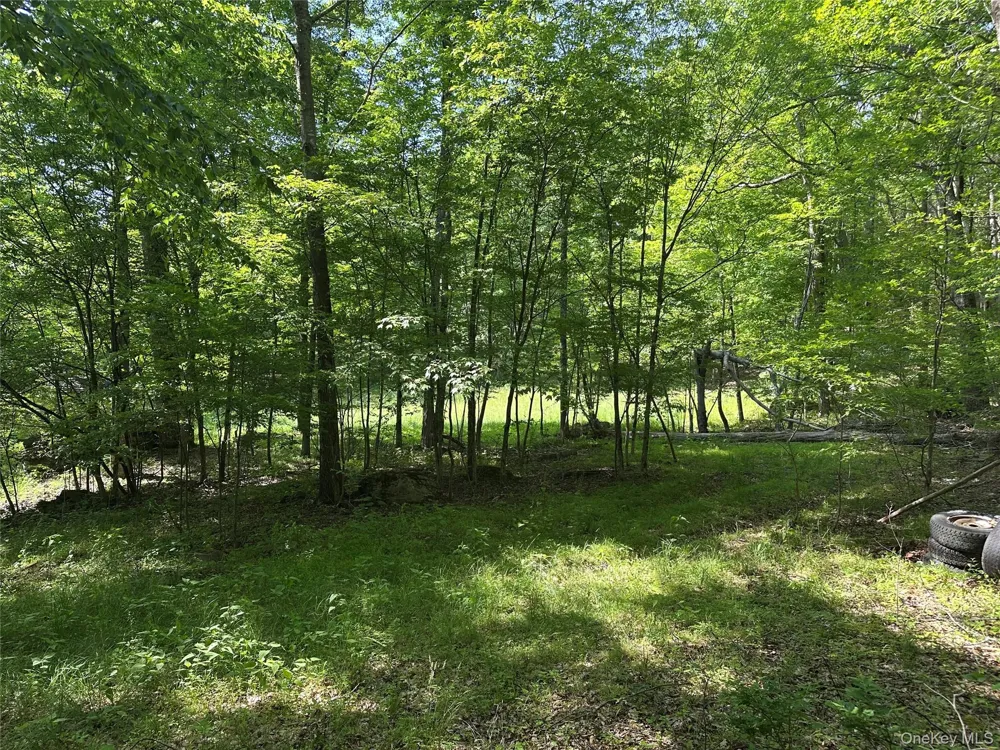 804 Hearts Content Road Cairo, NY 12413